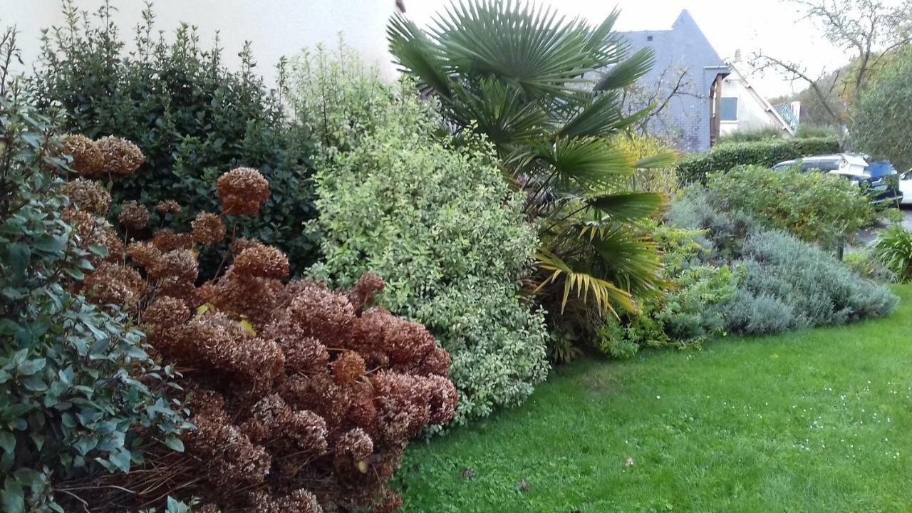 Appartements Et Gite Les Hauts De Sophia تروفيي سور مير المظهر الخارجي الصورة